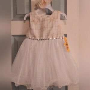 Purple Rose Toddler Dress